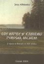 Gdy napisy na kamieniu porosną mchem. Z życia w Borach w XIX wieku