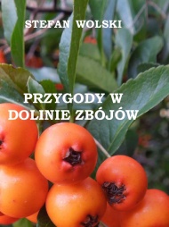 PRZYGODY W DOLINIE ZBÓJÓW