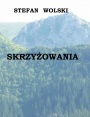 Skrzyżowania